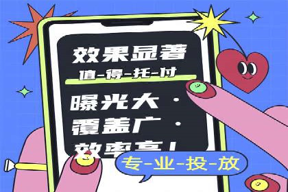 SEM竞价实战：成功案例解析